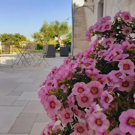 La Corte Del Pergolo Holiday home Locorotondo